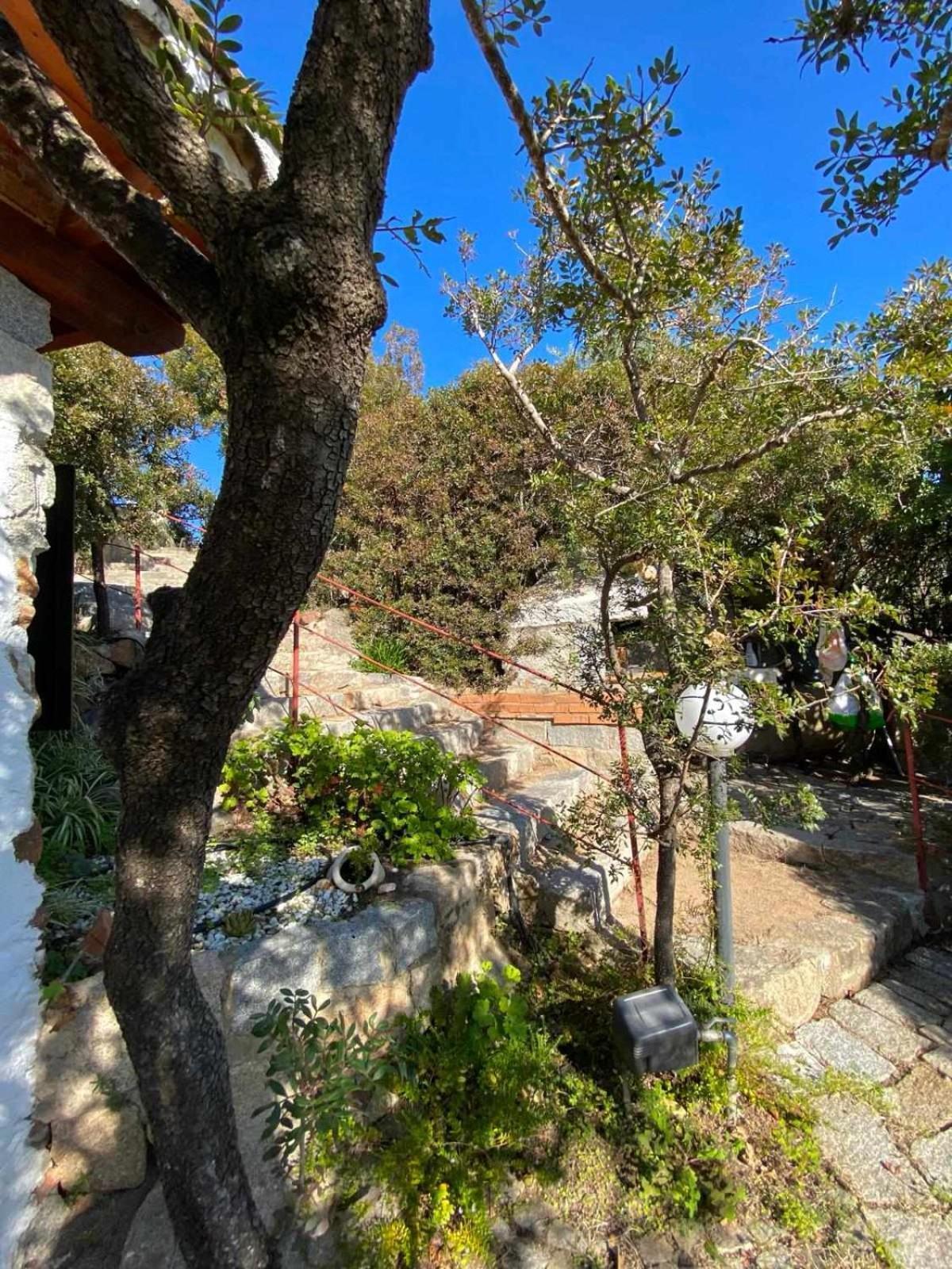 Sa Domu De Orri Al Mare Villa Tortoli Bagian luar foto