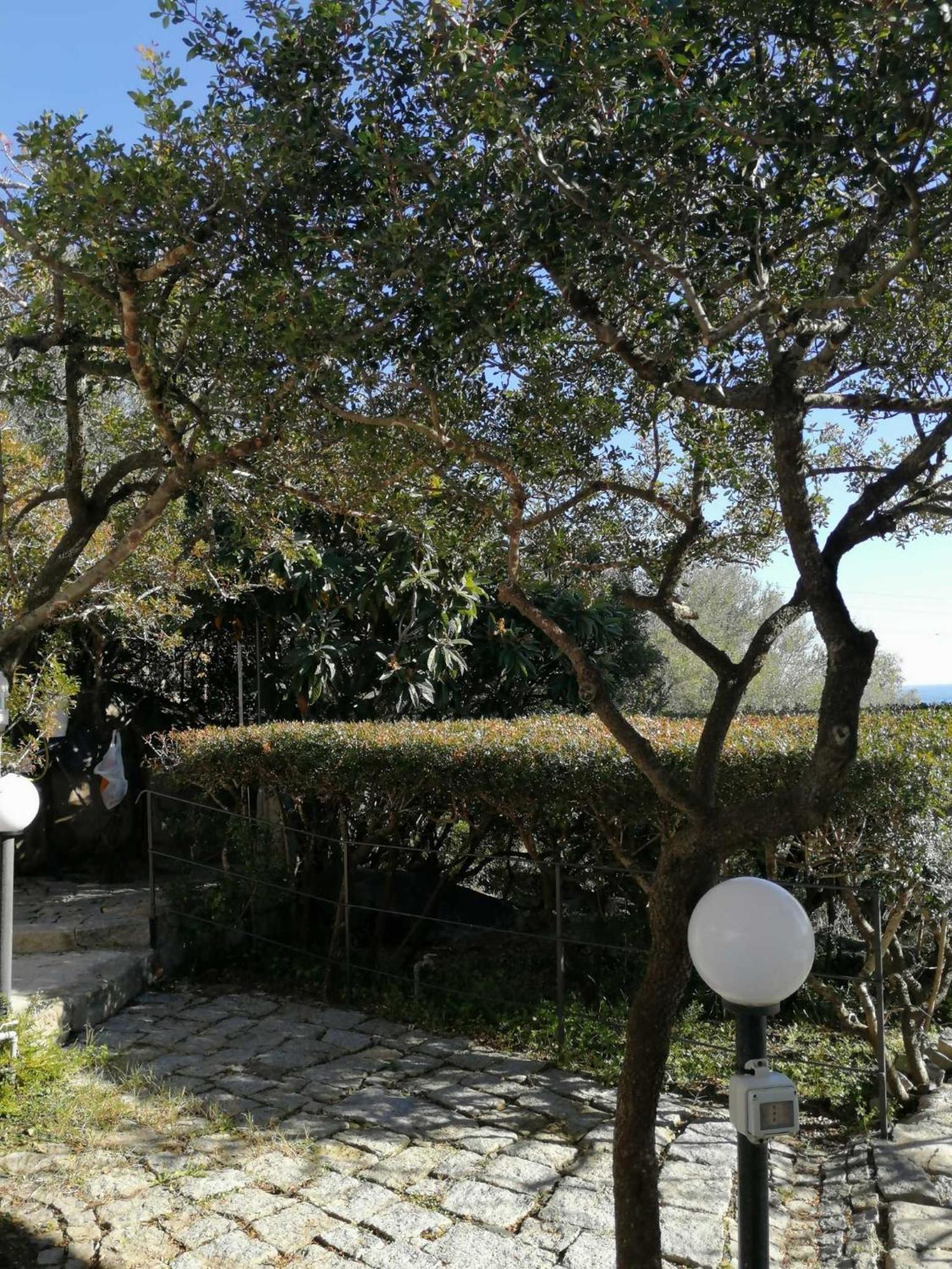 Sa Domu De Orri Al Mare Villa Tortoli Bagian luar foto