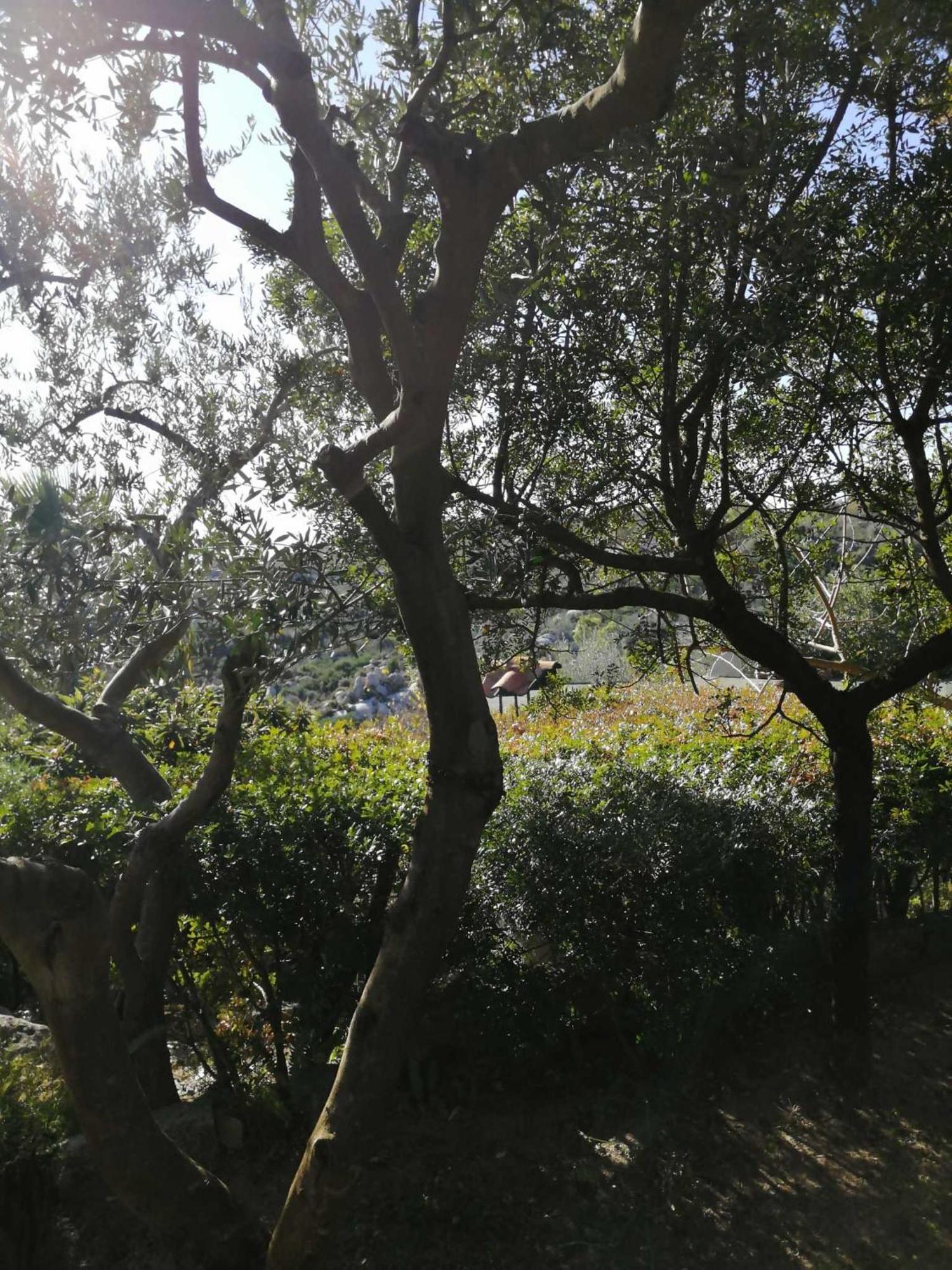 Sa Domu De Orri Al Mare Villa Tortoli Bagian luar foto